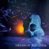 Pochette de l'album Fields of Næcluda de Fields of Naecluda